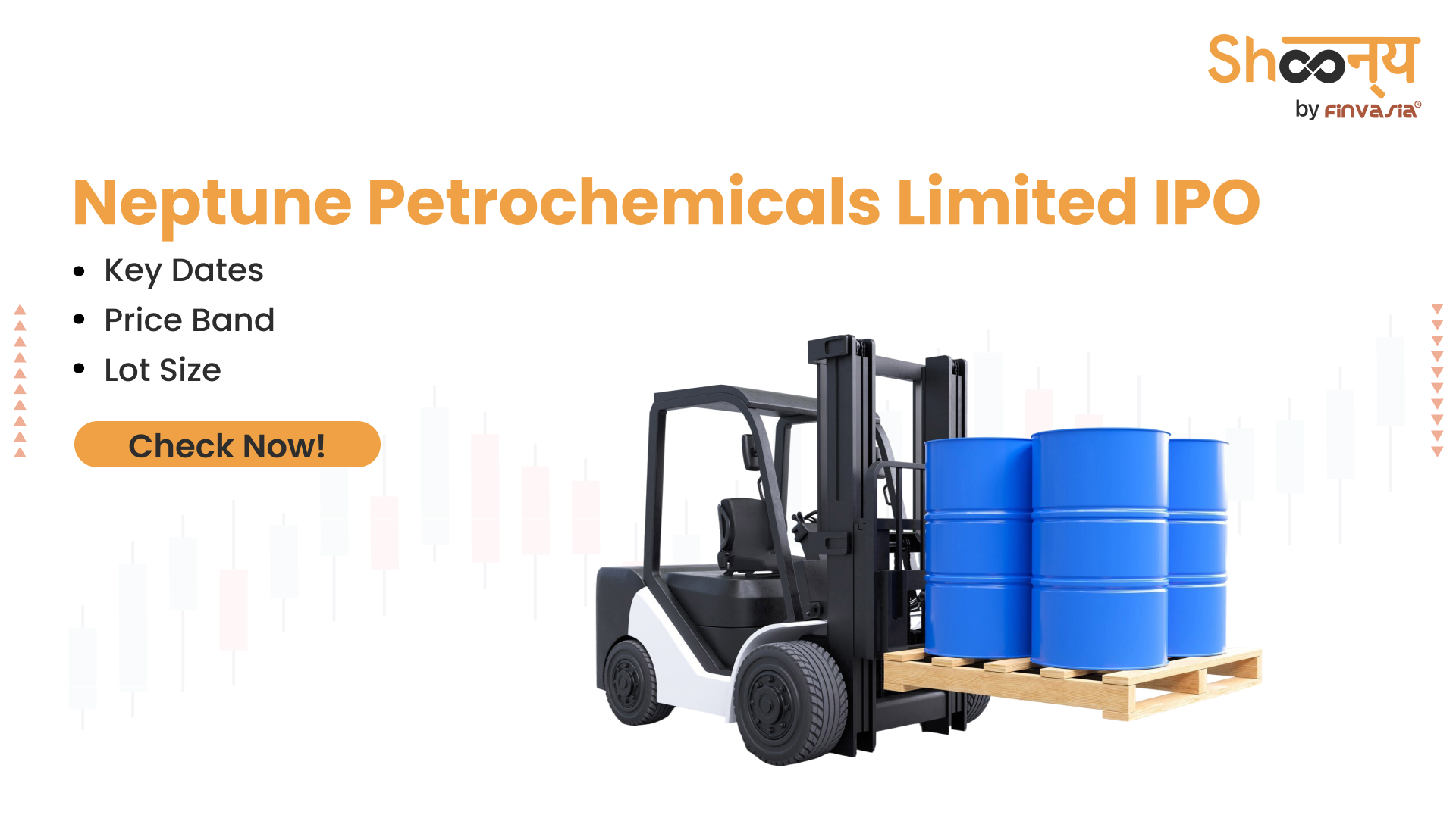 Neptune Petrochemicals Limited IPO